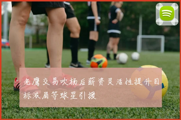 老鹰交易吹杨后薪资灵活性提升目标浓眉等球星引援