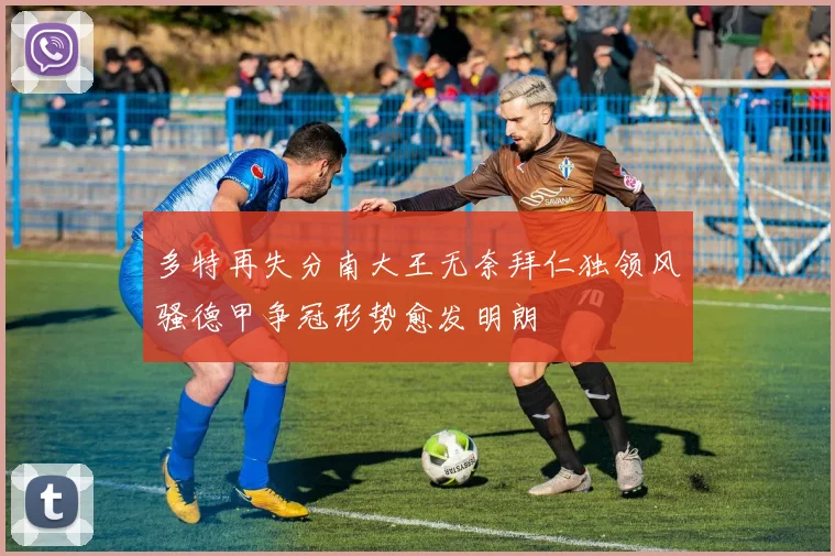 多特再失分南大王无奈拜仁独领风骚德甲争冠形势愈发明朗
