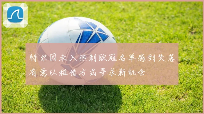 特尔因未入热刺欧冠名单感到失落有意以租借方式寻求新机会